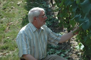 David Adelsheim check Pinot Noir in 2011