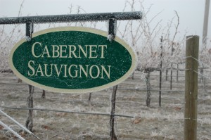 Frost sticks to a vineyard sign on Washington's Red Mountain in December 2011.