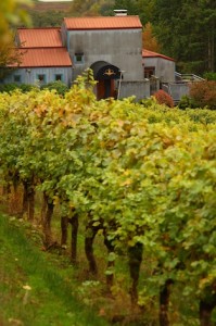Rex Hill Winery and its biodynamic estate vineyard. (Photo by John Valls/Courtesy of Rex Hill)