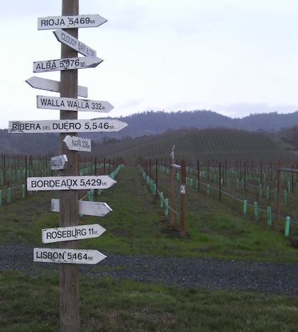 Abacela's Fault Line Vineyard in Southern Oregon ranks as one of the state's most well-known plantings.