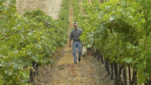 Wade Wolfe is the owner and winemaker at Thurston Wolfe Winery in Prosser, Washington.