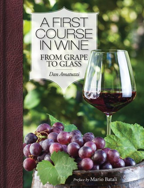 A First Course in Wine by Dan Amatuzzi