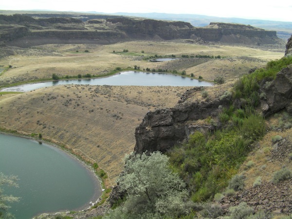 Several of the Columbia Basin's Ancient Lakes near Quincy, Wash., are found in the canyon between Evergreen Vineyard and Ancient Lakes Vineyard, and both plantings belong to Milbrandt brothers.