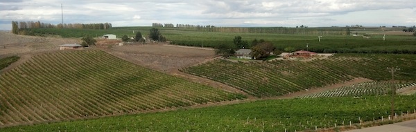 Bitner Vineyards in Caldwell, Idaho, spans 16 acres and sells most of its fruit to Koenig Vineyards and Fujishin Family Cellars.