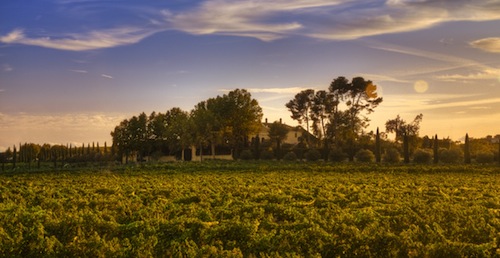 Ste. Michelle Wine Estates will be distributing Torres wines from Spain.