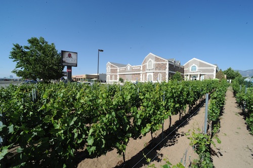 Precept Wine in Seattle has taken over Gruet Winery in New Mexico through a partnership.