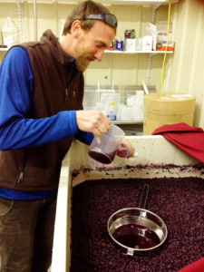 Justin Michaud samples a fermentation Oct. 1 at Coyote Canyon Winery in Prosser, Wash.