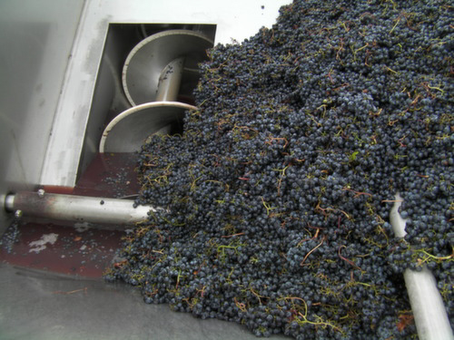 Malbec from Spice Cabinet Vineyard begins its transformation into wine Oct. 1, 2013 at Mercer Estates in Prosser, Wash.