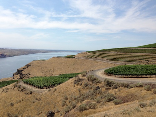The Benches Vineyard in Washington state's Horse Heaven Hills