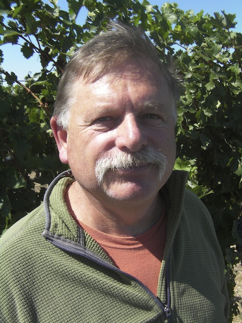 Mike Januik checks grapes at Stillwater Creek Vineyard.