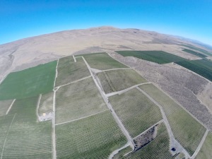 Red Willow Vineyard is in the western Yakima Valley of Washington state.