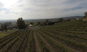Harrison Hill is a vineyard in Washington's Yakima Valley.