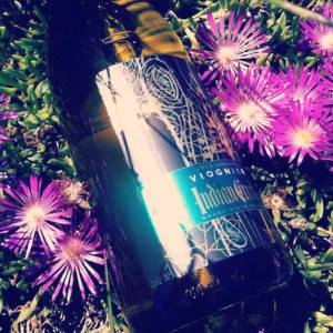 indian-creek-winery-unoaked-viognier-2013-bottle