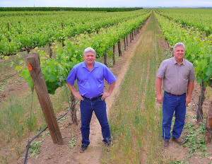 Gamache Vineyard in Basin City, Wash., was first planted in 1982 by brothers Bob, left, and Roger Gamache.