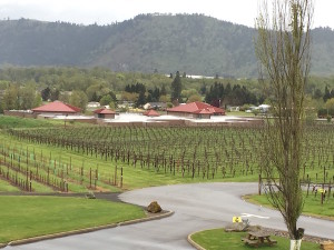 Fault Line Vineyards in Roseburg, Ore., is the estate planting for Abacela and includes a block adjacent to Lookingglass Elementary School.