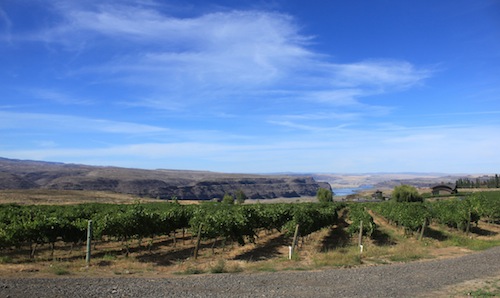 Cave Be Estate Winery's vineyards.