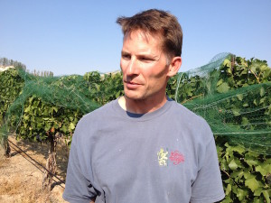 Snake River Valley winemaker Greg Koenig of Koenig Vineyard will purchase all the fruit from Fraser Vineyard fruit — Idaho's most expensive source of Cabernet Sauvignon — for the next four years.