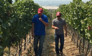 Schlagel Santos uses Grenache grapes from Red Mountain.