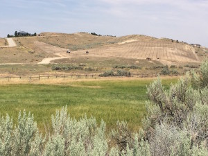 A planned vineyard in the early stages of development on the outskirts of Eagle, Idaho, is within the proposed Eagle Foothills American Viticultural Area.