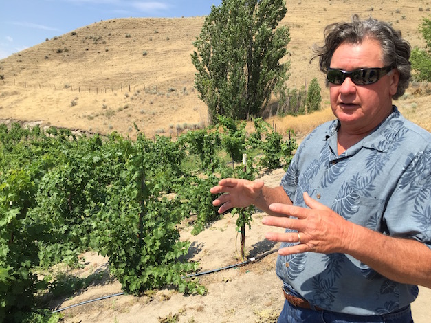 Gary Cunningham chose to retrain his 3 Horse Ranch Vineyards in the aftermath of the devastating November 2014 freeze. (Photo by Eric Degerman/Great Northwest Wine) 