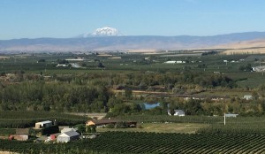 Mount Adams over the Rattlesnake Hills in the Yakima Valley of Washington wine country.
