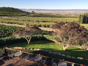 The new patio at Ste. Chapelle offers patrons view of vineyards, orchards and Lizard Butte in Idaho's Snake River Valley.