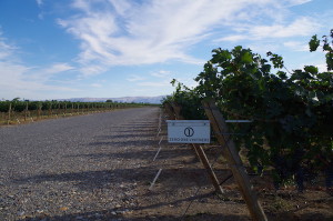 Zero One Vintners sources grapes throughout Washington's Columbia Valley and has worked with winemaker Joshua Maloney and the Milbrandt brothers' Wahluke Wine Co.