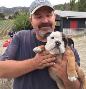Jay Drysdale, co-owner/founding winemaker of Bella Sparkling Wines, named his winery for his English bulldog. Bella died several years ago, but Drysdale recently brought on baby Buddha, and she appears to be just as charming.