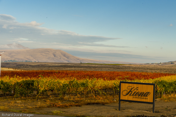 The first commercial Lemberger was made by Kiona Vineyards & Winery