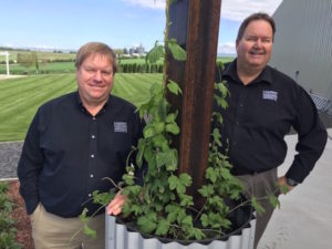 Art McIntosh, left, and his brother, Doug, operate Lindsay Creek Vineyards in Lewiston, Idaho. (Photo by Eric Degerman/Great Northwest Wine)