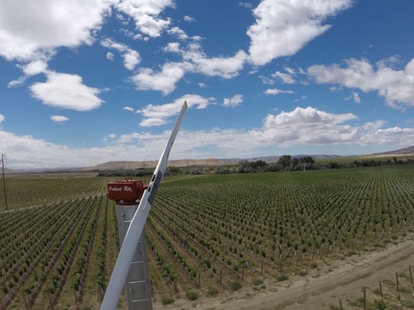 A wind machine rises above a new vineyard owned by Dick Shaw. The longtime Washington grape grower is planting this 900-plus-acre vineyard along the Yakima River near West Richland, Wash. (Photo by Great Northwest Wine)