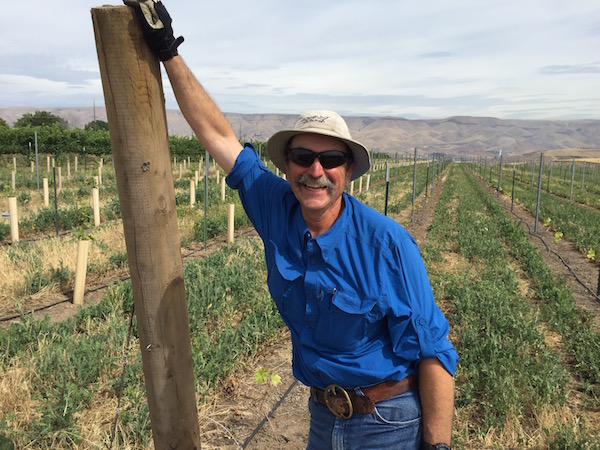 Mike Haberman, vineyard manager at Rock 'n J Vineyard in the Lewis-Clark Valley American Viticultural Area, stands in Umiker Vineyard in Lewiston, Idaho. (Photo by Eric Degerman/Great Northwest Wine)