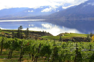Okanagan Lake, which is 84 miles long and more than 700 feet deep, moderates the climate throughout the Okanagan Valley wine industry.