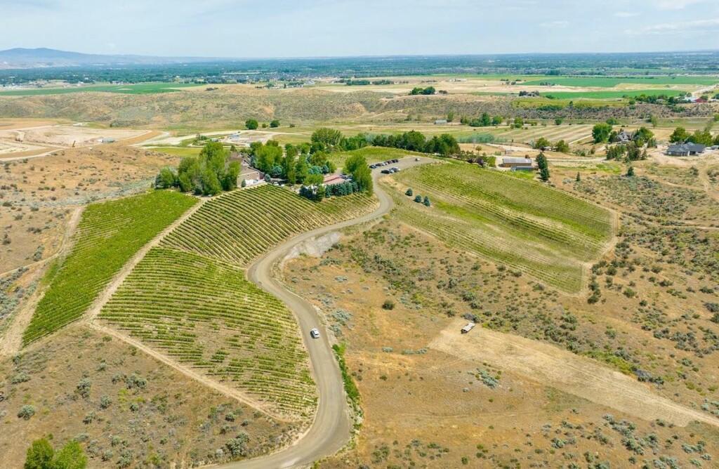The Bucherts named their winery in Idaho’s Eagle Foothills for the nearby gulch where a sheepherder was stabbed to death during the Depression. Mike Prout, a graduate of the Walla Walla Community College’s famed viticulture and enology program is their winemaker. (Photo courtesy of Facebook)